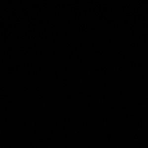 Meet your Posher, Emersynn